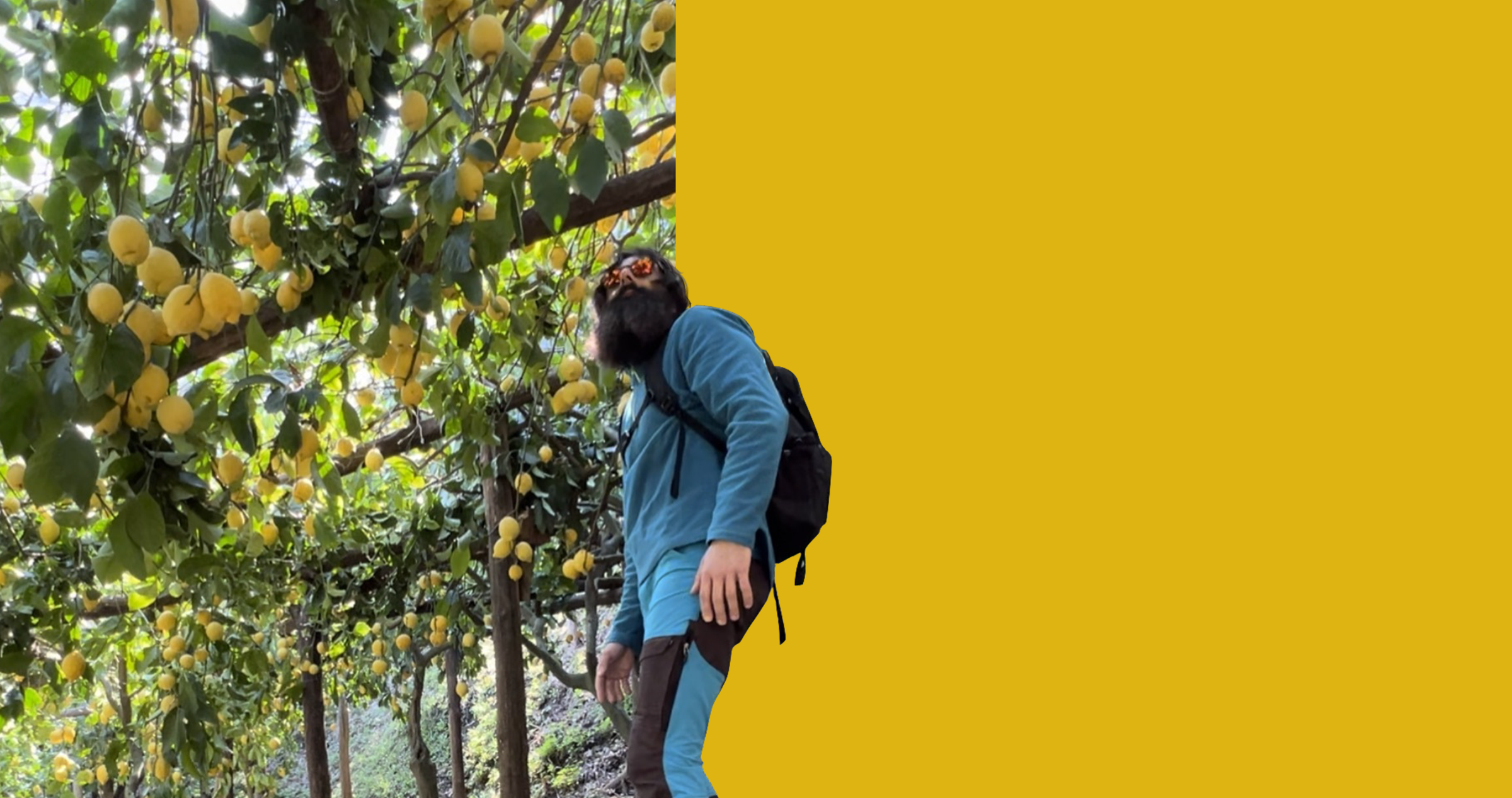 Sentiero dei Limoni